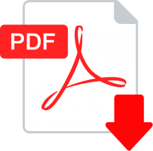 PDF File